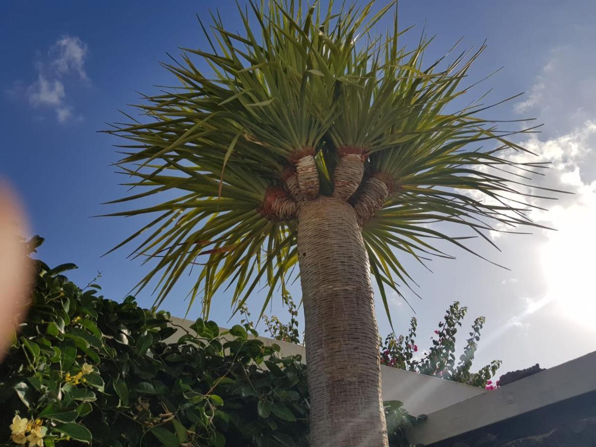 Villa Fenix Puerto del Carmen  Eksteriør billede